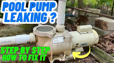 above ground pool pump leaking|How to Stop A Pool Pump From Leaking